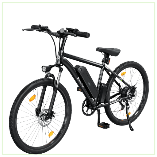 Electric Bikes