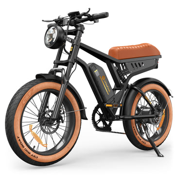 isinwheel R6 1000W Retro Electric Bike