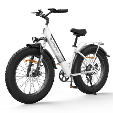 isinwheel M60 750W All-terrain Electric Bike